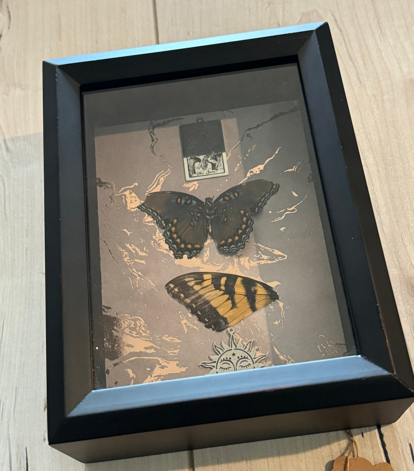 Bug Art - Butterfly (FRAMED)