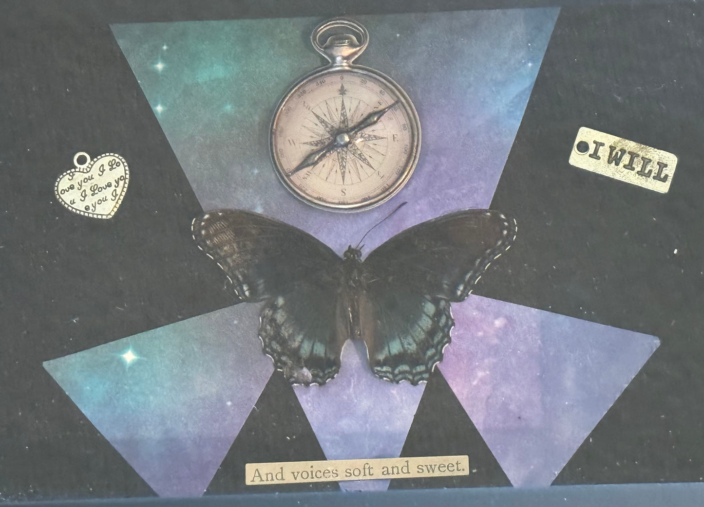 Bug Art - Butterfly (FRAMED)