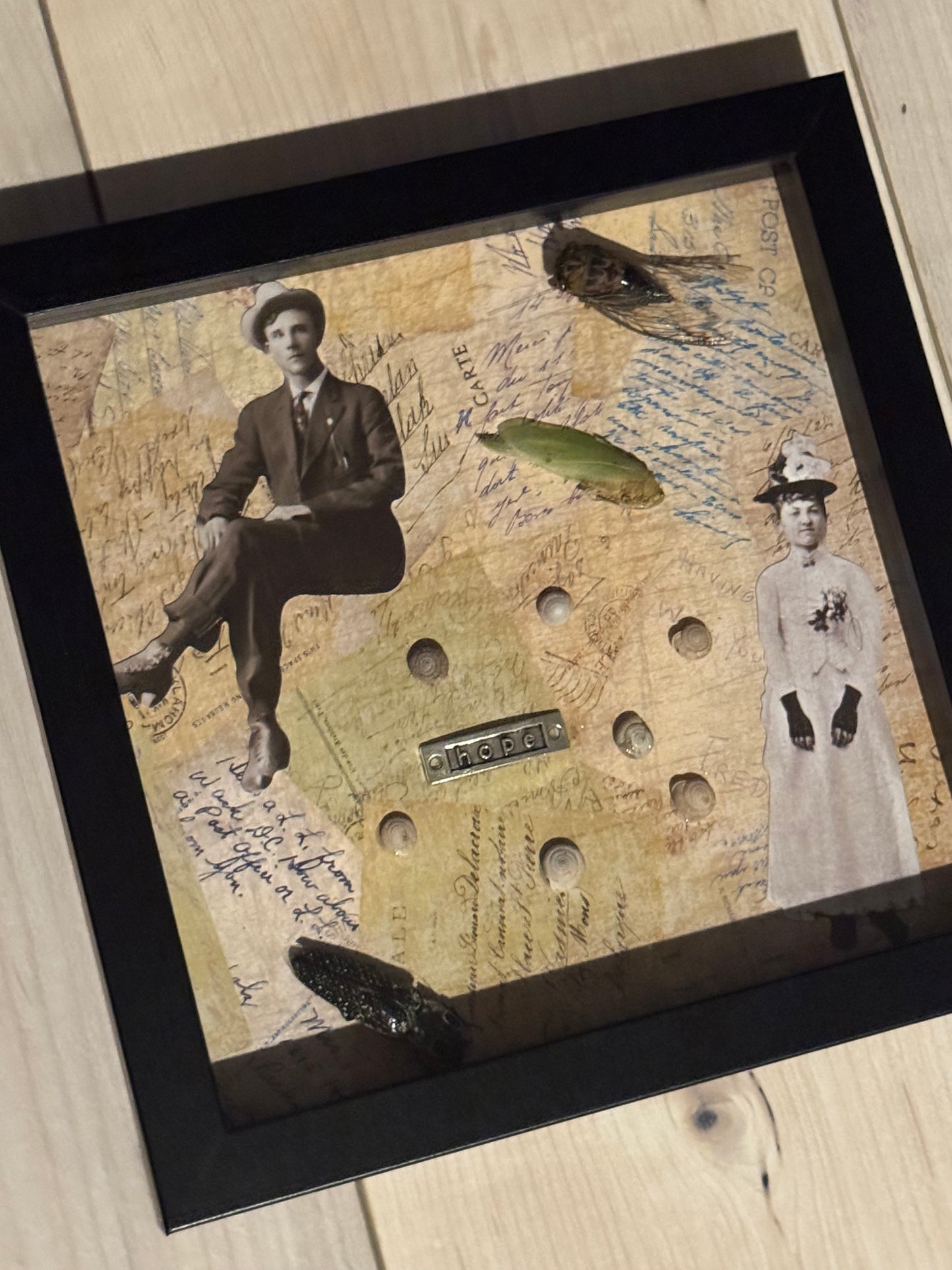 Bug Art (FRAMED)