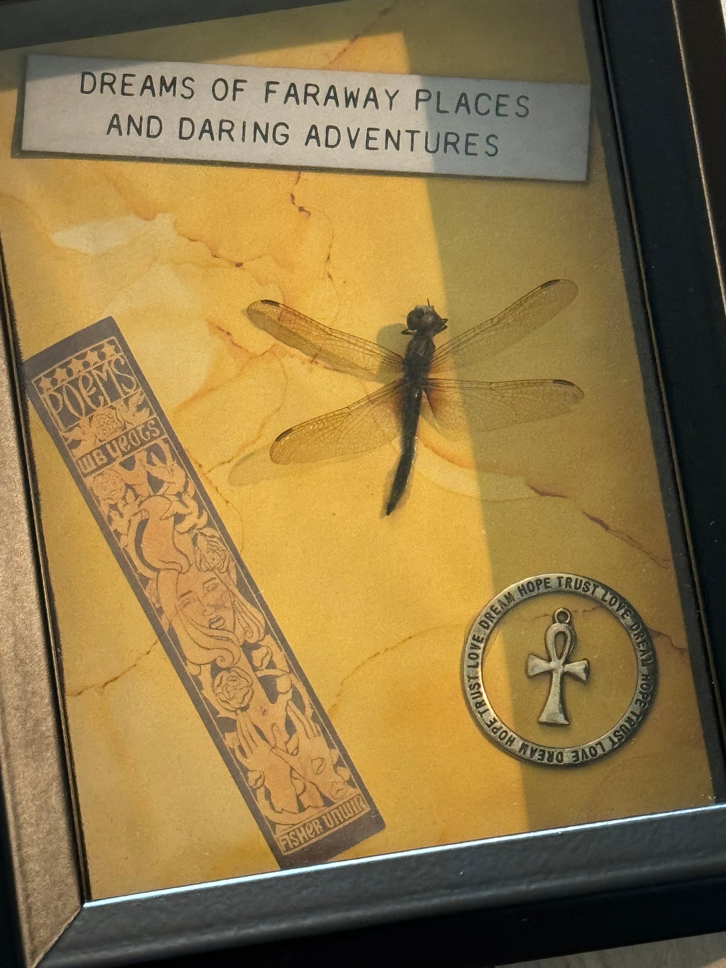 Bug Art - Dragon Fly (FRAMED)