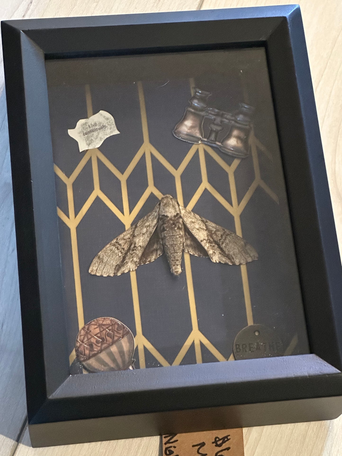 Bug Art - Moth (FRAMED)