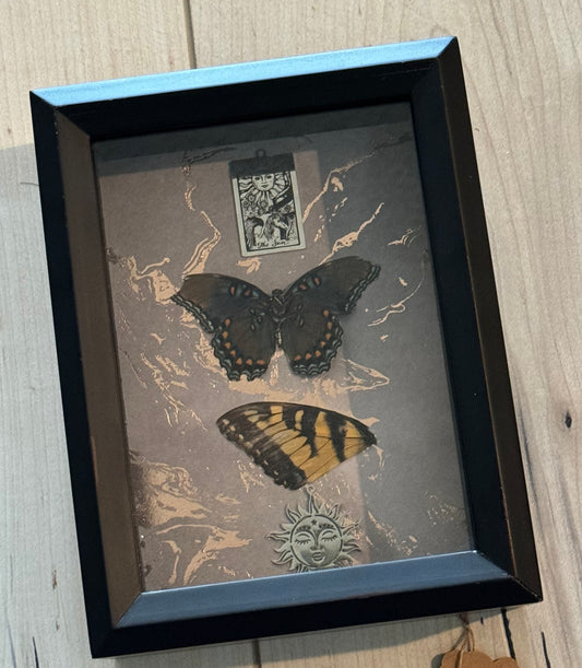 Bug Art - Butterfly (FRAMED)