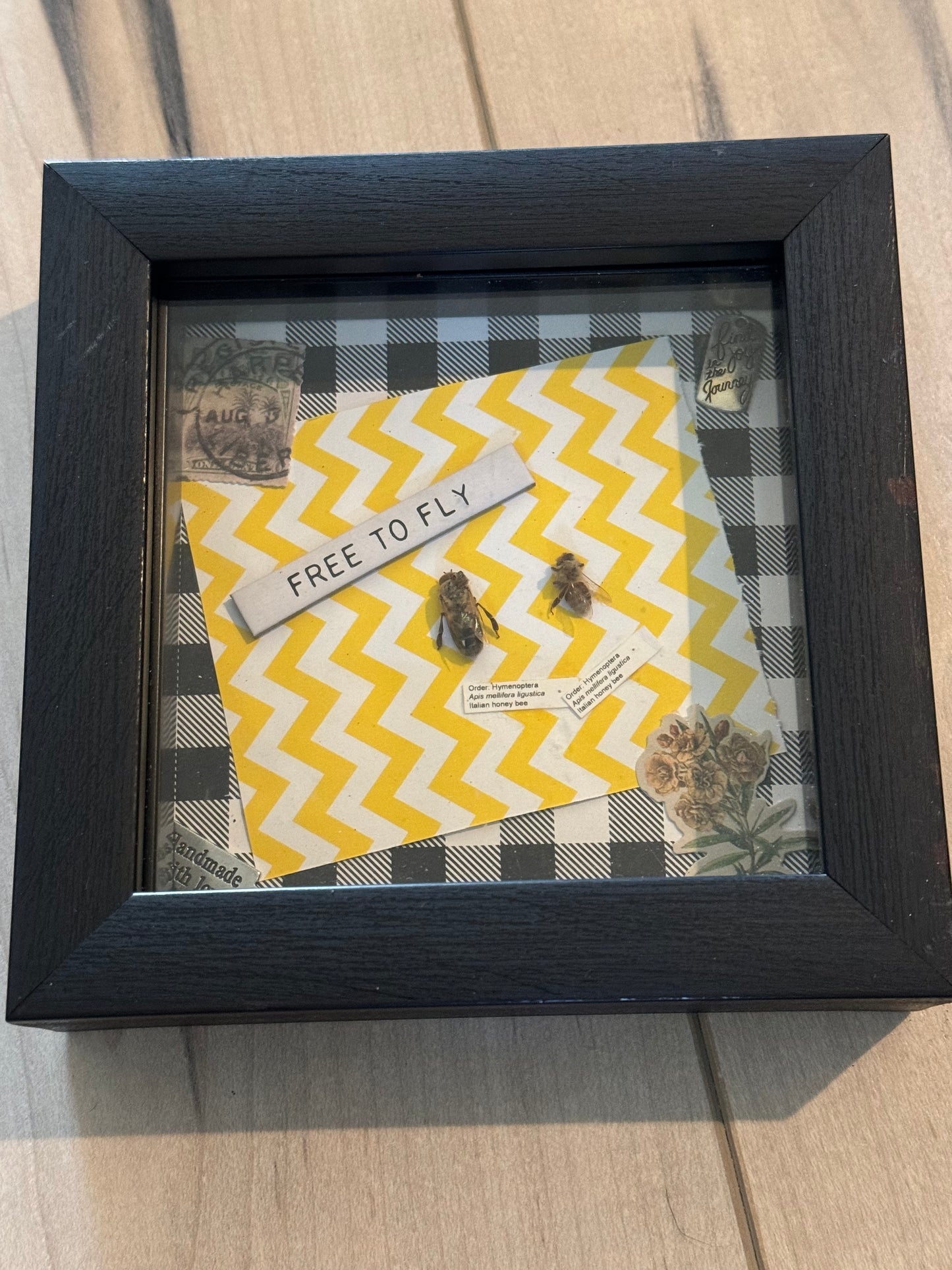 Bug Art - Honey bees - (FRAMED)