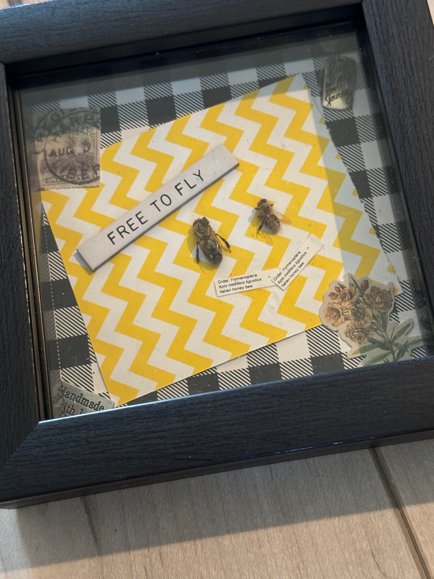 Bug Art - Honey bees - (FRAMED)