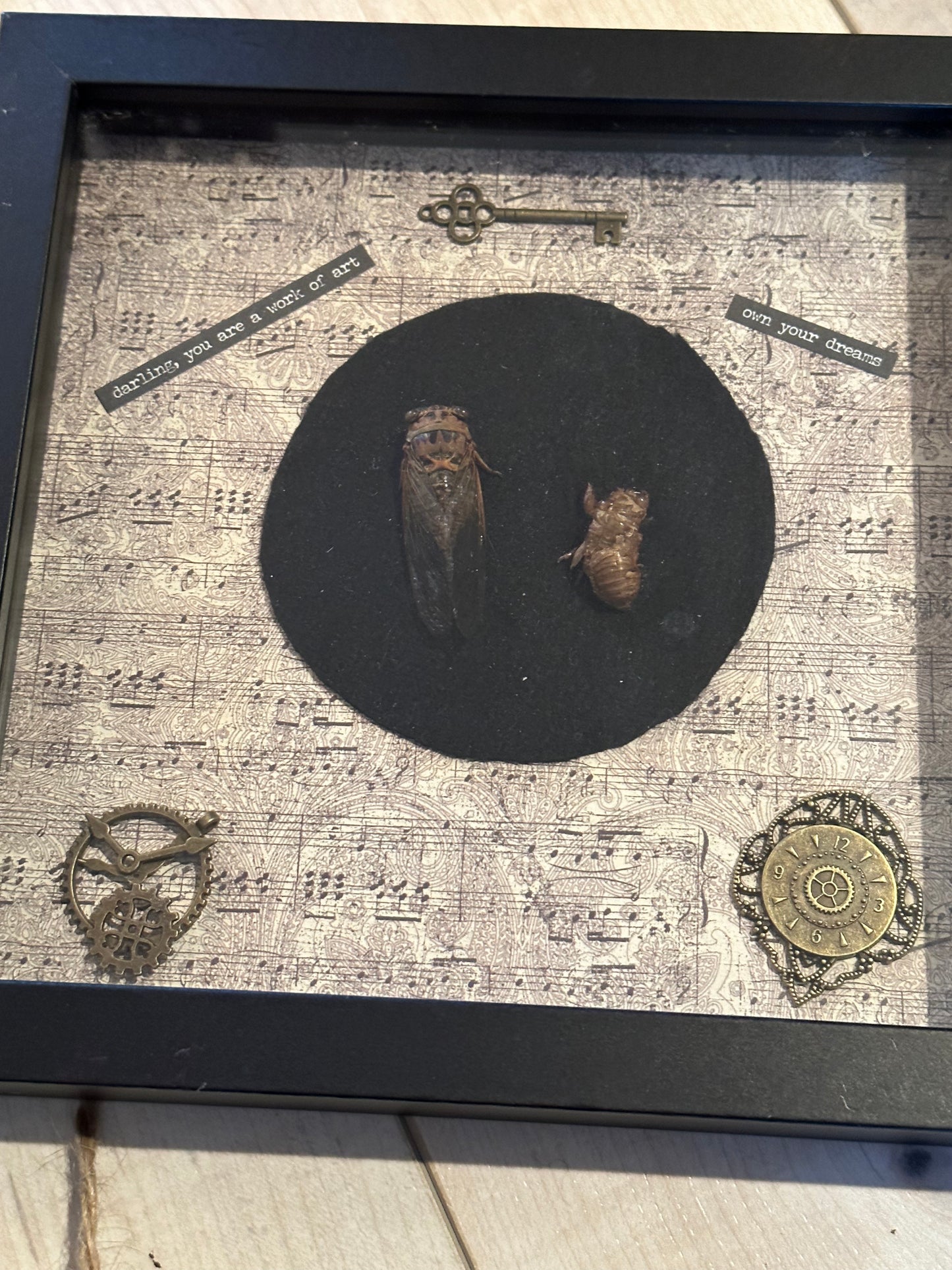 Bug Art - Cicada (FRAMED)