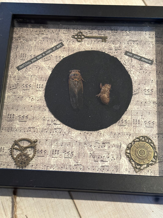 Bug Art - Cicada (FRAMED)