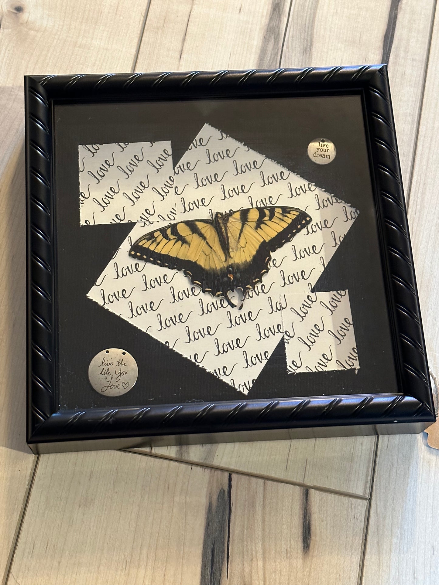 Bug Art- Butterfly (FRAMED)