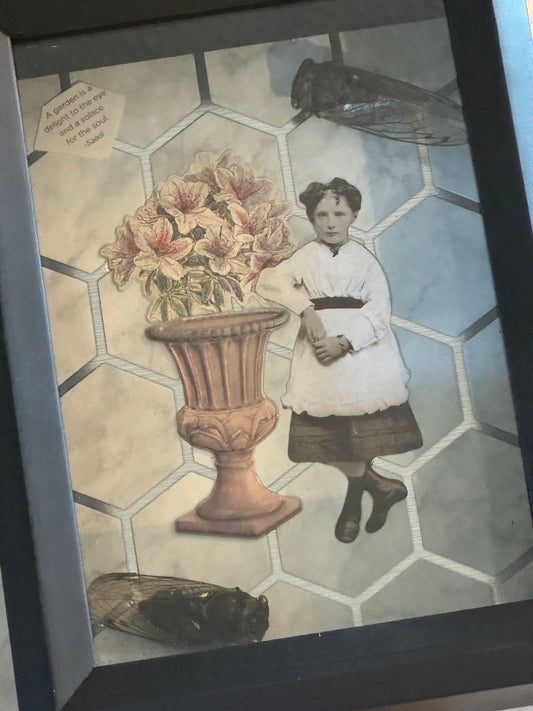 Bug Art - Cicada (FRAMED)