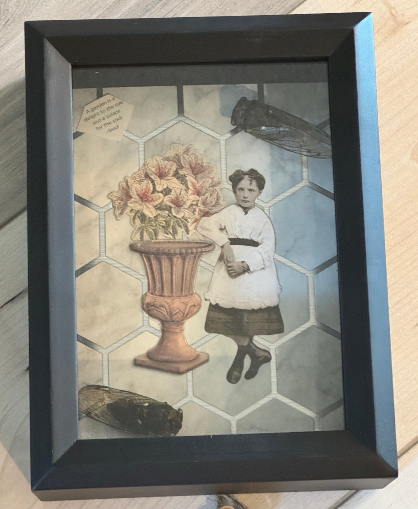 Bug Art - Cicada (FRAMED)