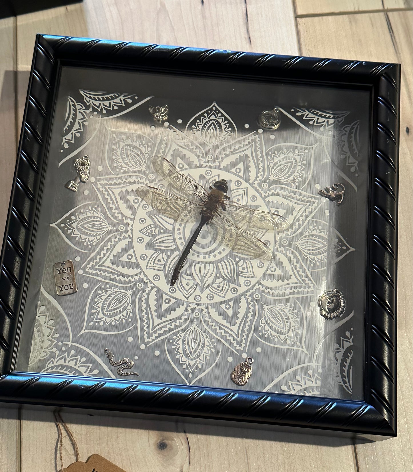 Bug Art - Dragonfly (FRAMED)