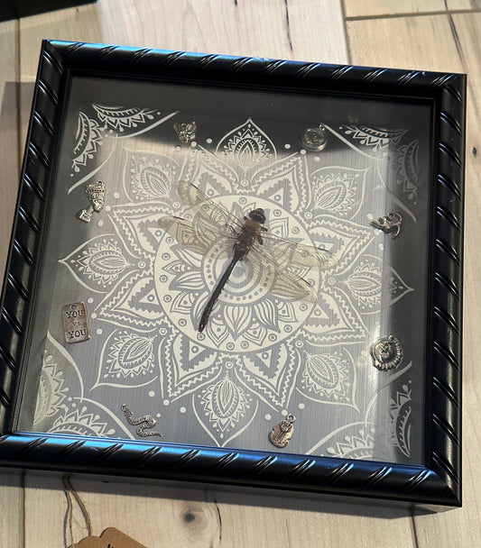 Bug Art - Dragonfly (FRAMED)
