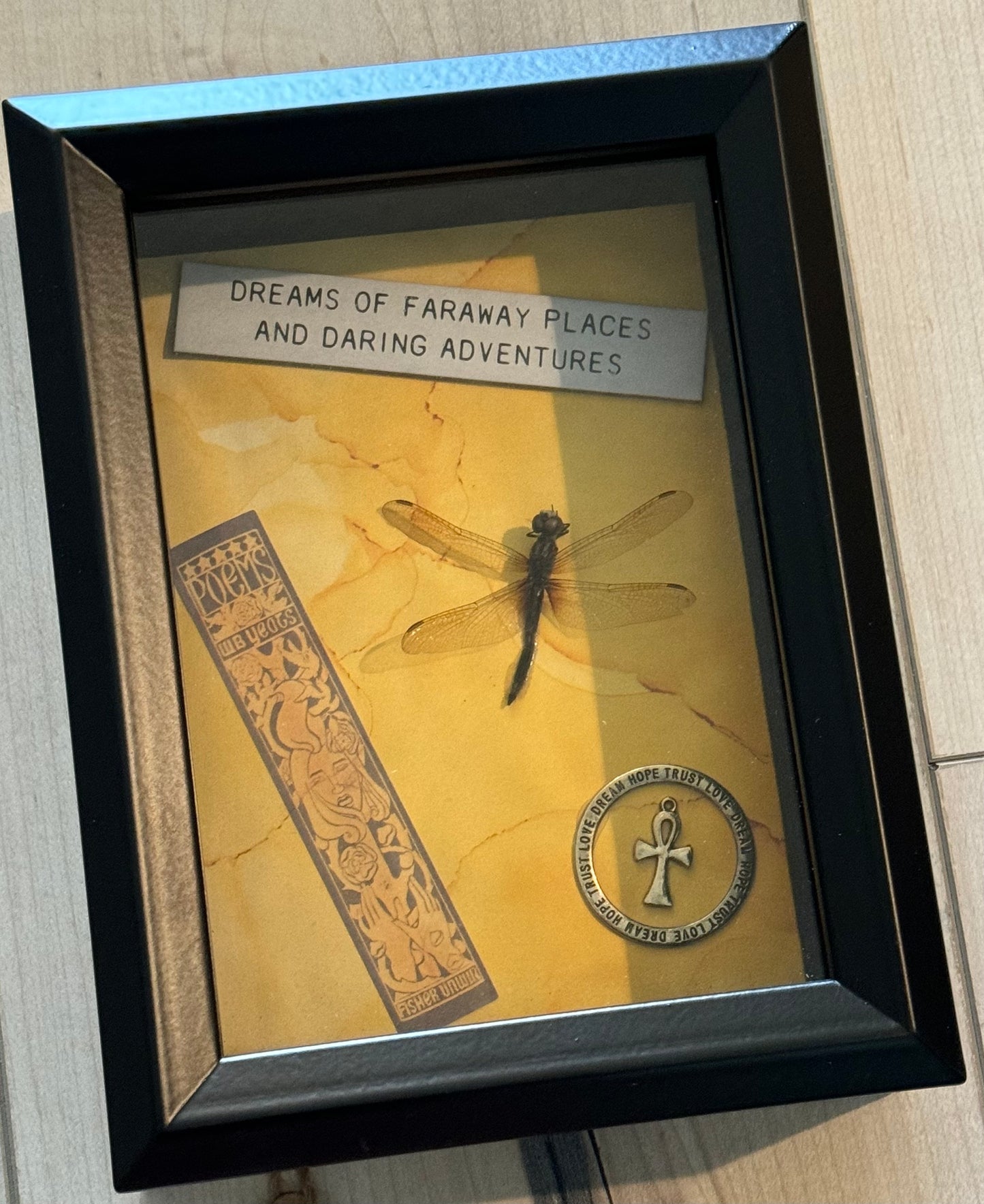 Bug Art - Dragon Fly (FRAMED)