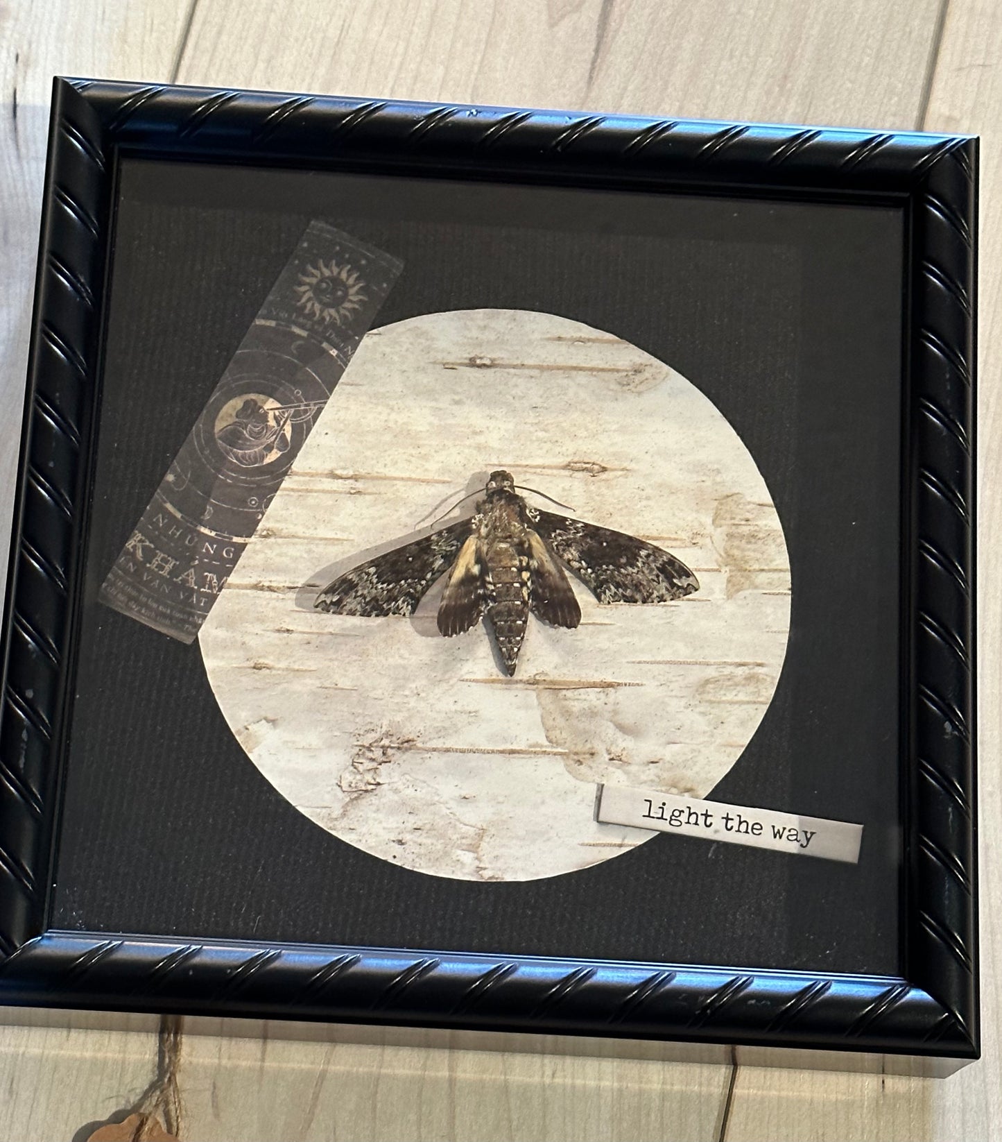 Bug Art - Moth (FRAMED)