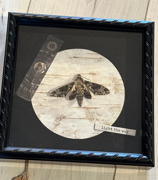 Bug Art - Moth (FRAMED)