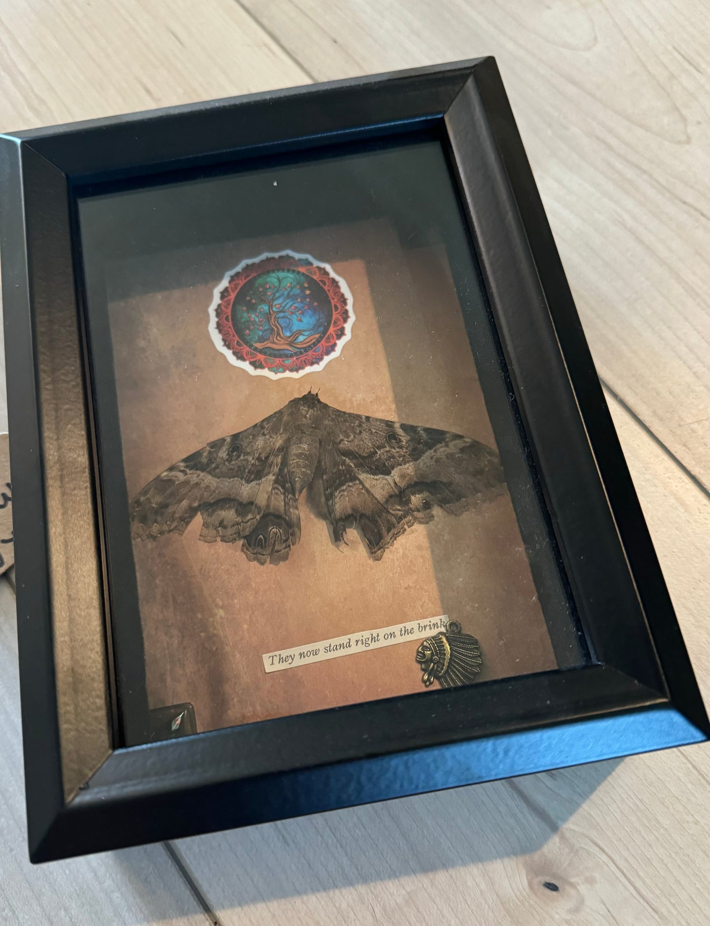 Bug Art - Moth (FRAMED)