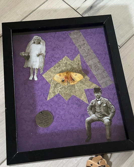 Bug Art - Moth (FRAMED)