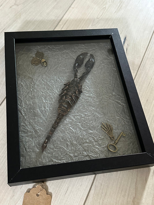 Bug Art - Scorpion (FRAMED)