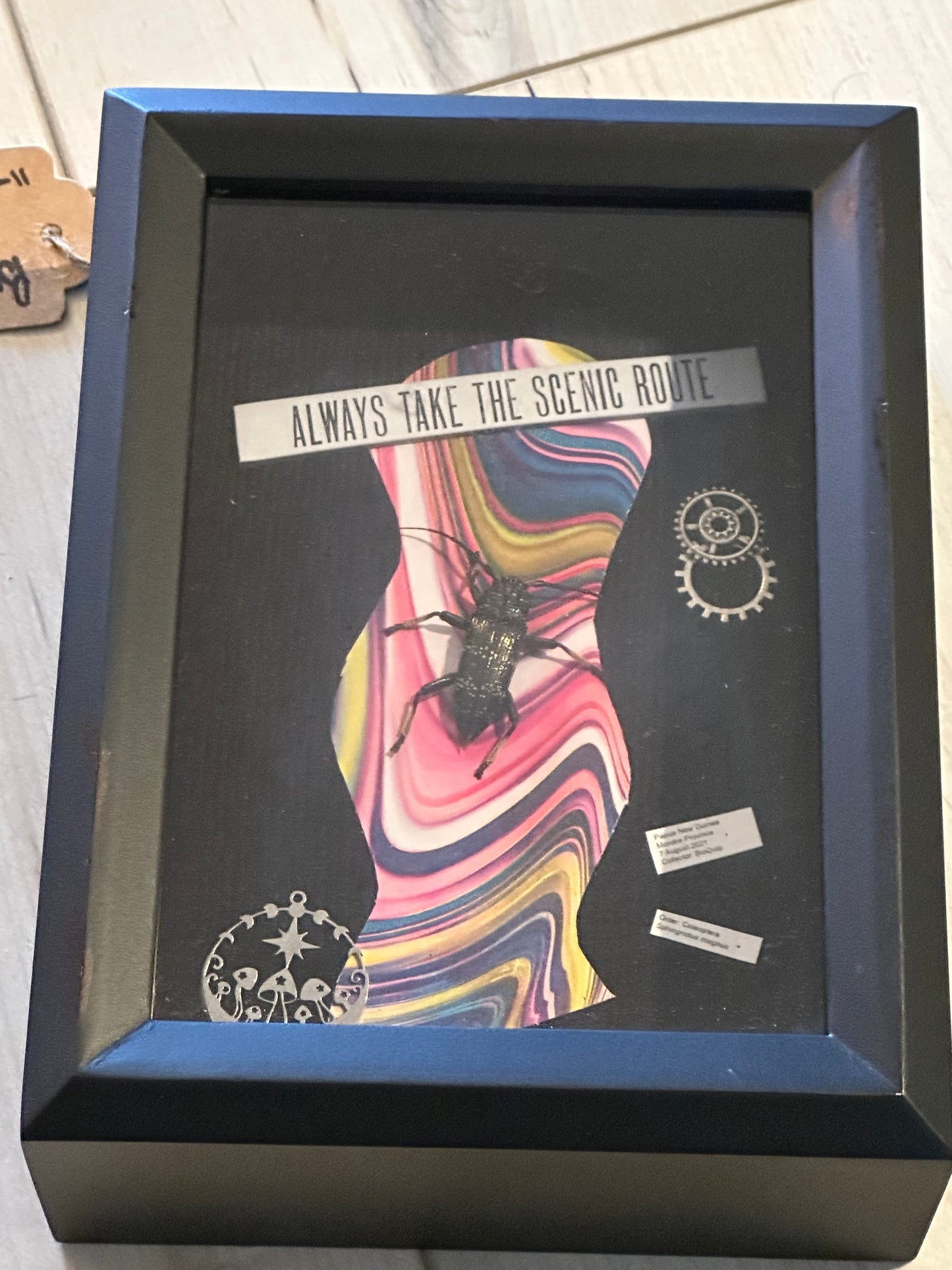 Bug Art - Beetle (FRAMED)