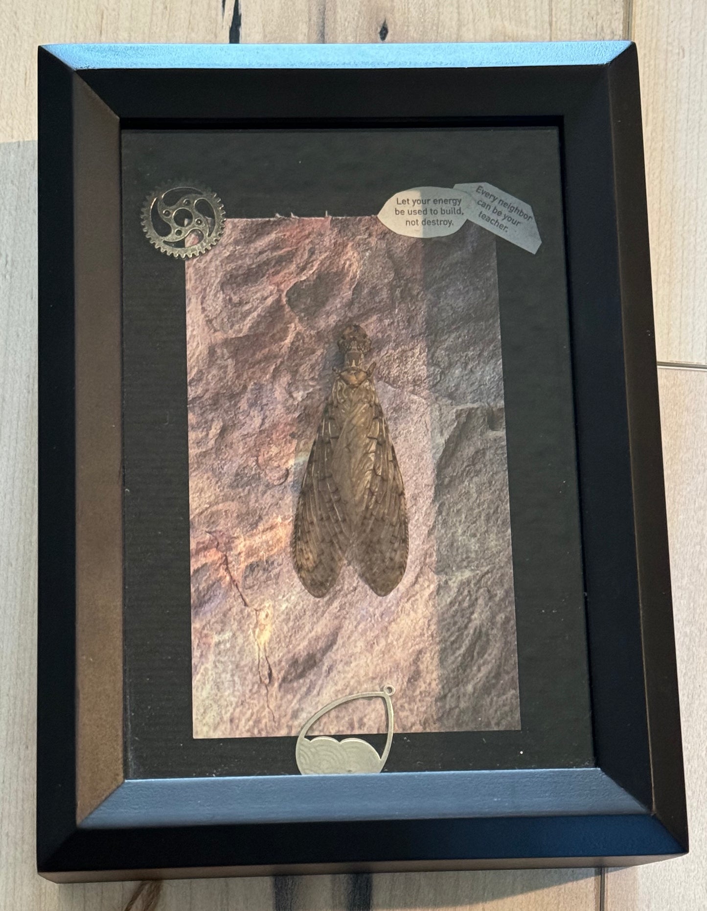 Bug Art -  (FRAMED)