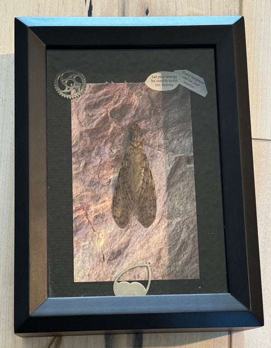 Bug Art -  (FRAMED)
