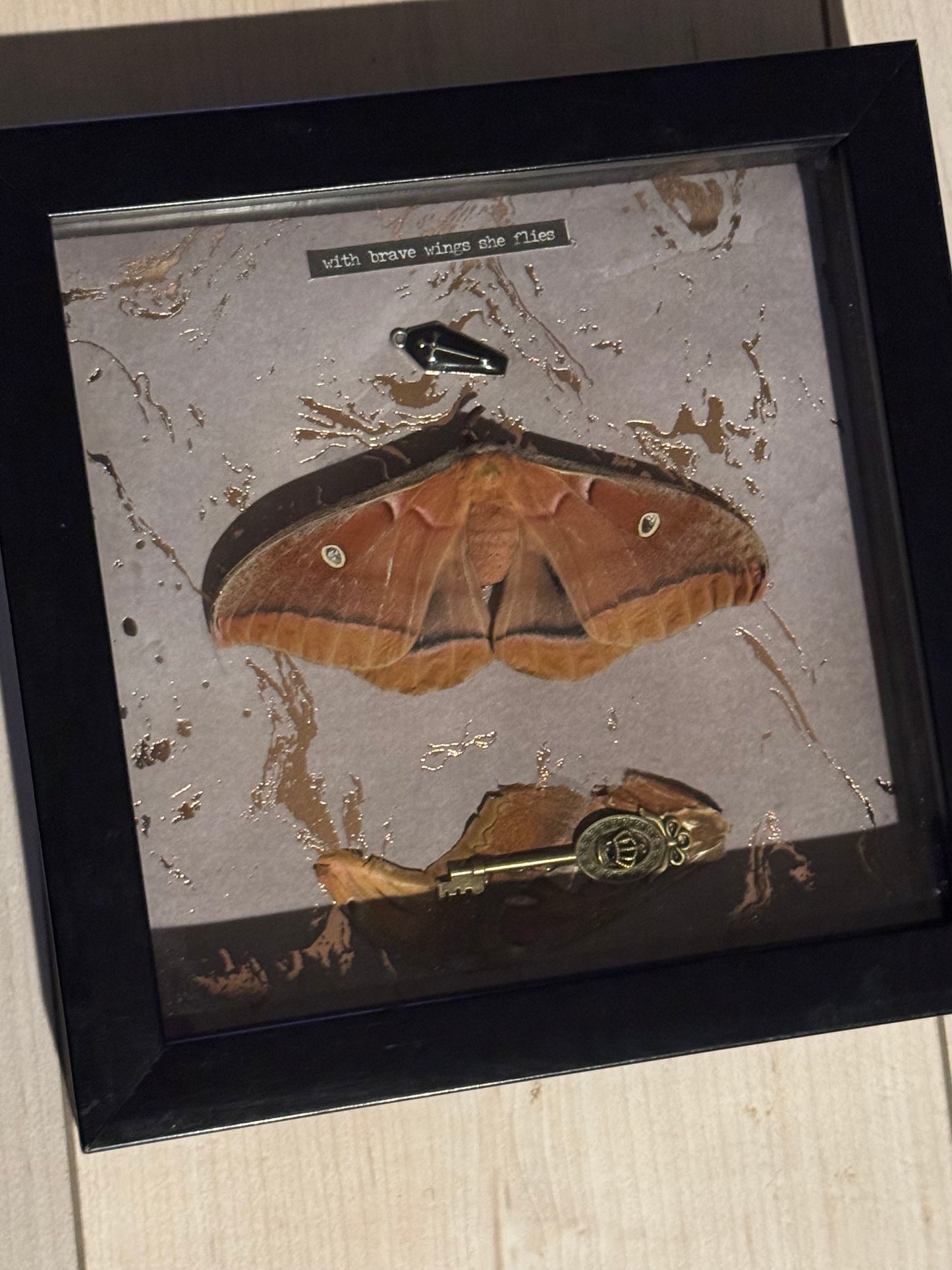 Bug Art (FRAMED)